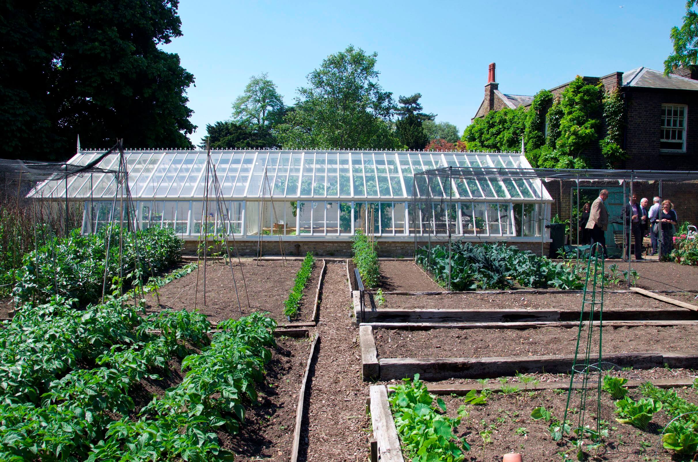 Directors greenhouse at Kew Gardens