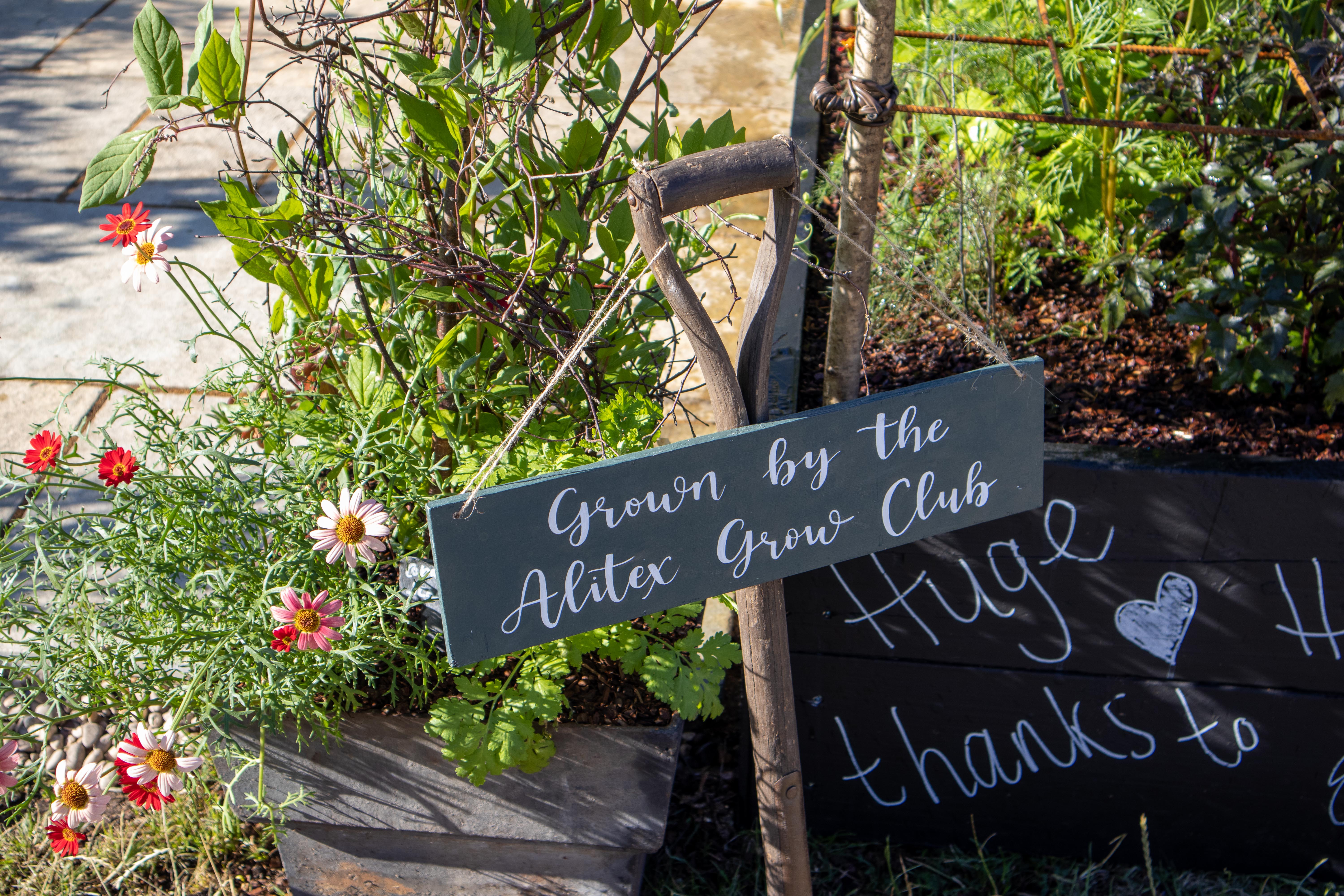 The Hampton Court cutting garden grown by The Alitex Grow Club