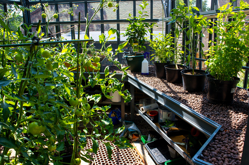 hexagonal greenhouse layout inspiration hexagonal greenhouse layout inspiration