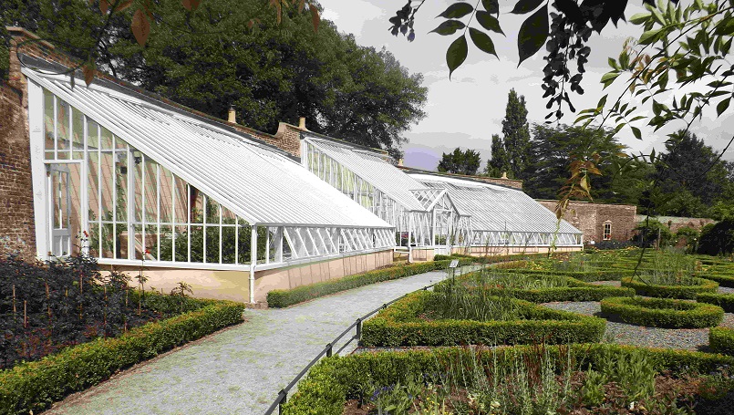 Fulham Palace greenhouse