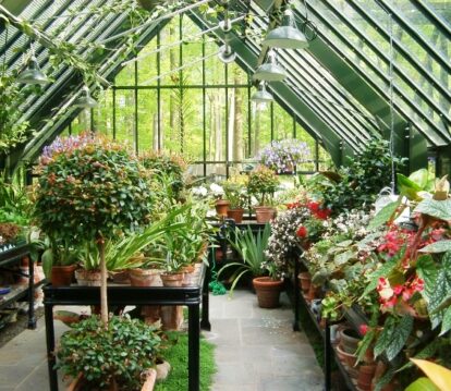Green greenhouse internal
