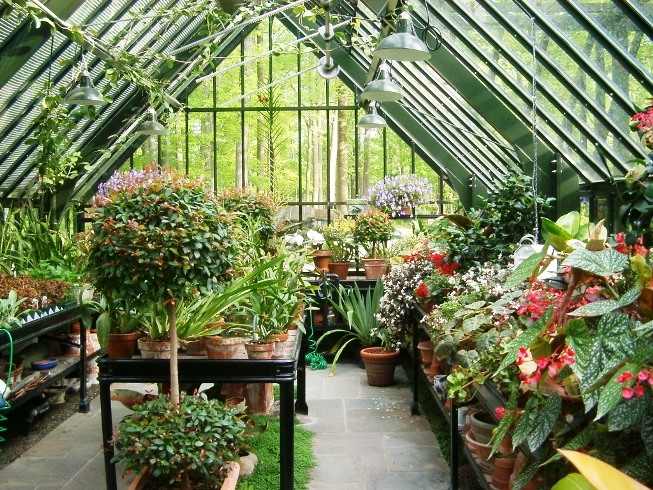 Green greenhouse internal