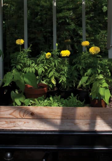 Potting-shoe-adding-to-the-growing-functionality-of-this-greenhouse