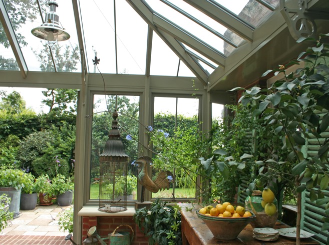 Lemon trees in a conservatory