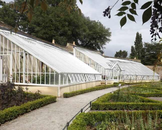 replacement-greenhouse-fulham-palace-casestudy-gallery-c-1490x894