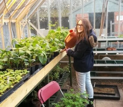 Sam at in large bespoke freestanding greenhouse, watering Thrives plants for RHS Chelsea Flower Show