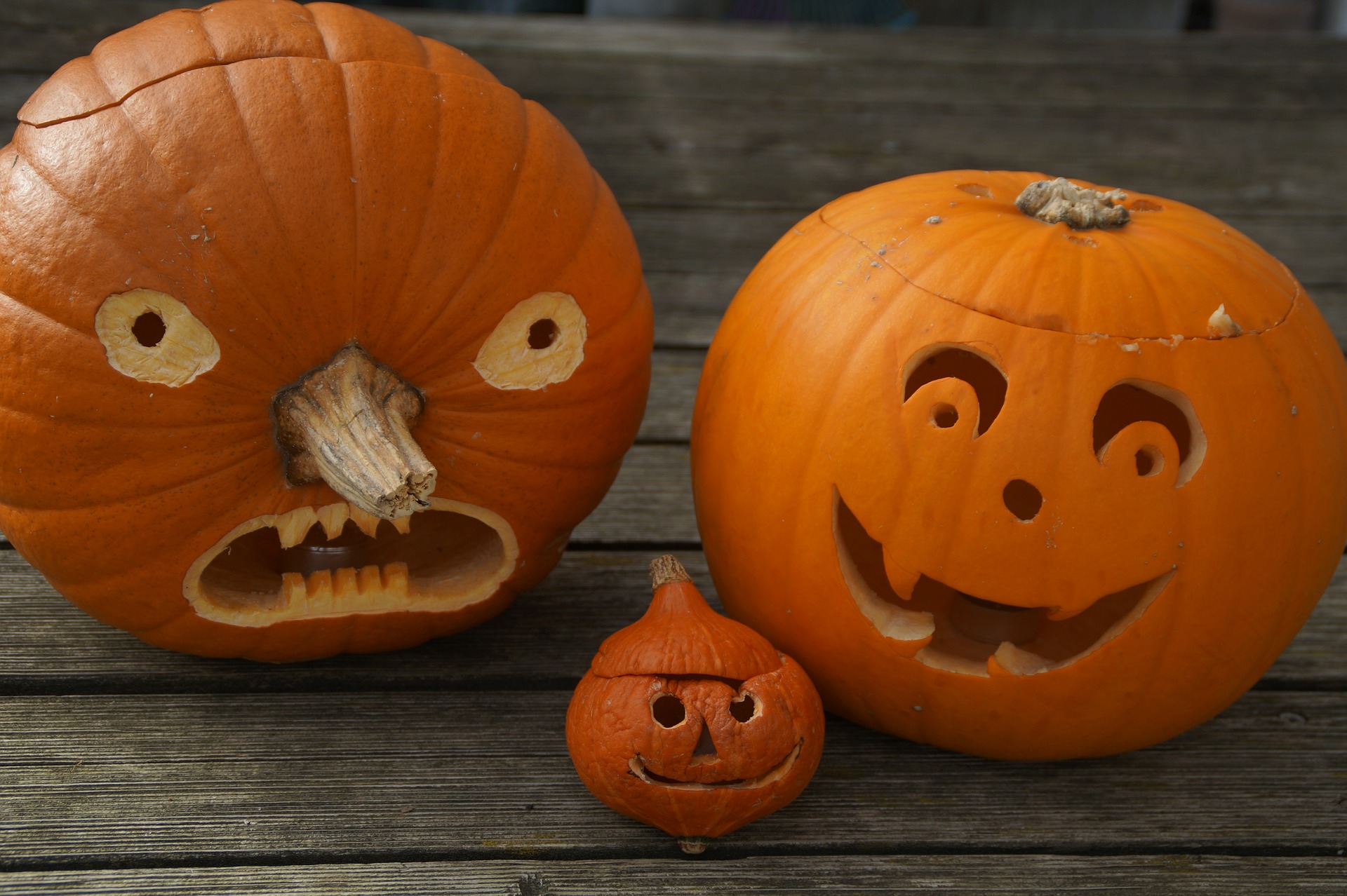 Halloween Pumpkins, Jack O'Lanterns