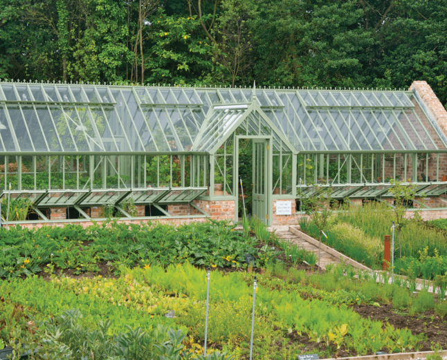 greenhouse in kitchen garden