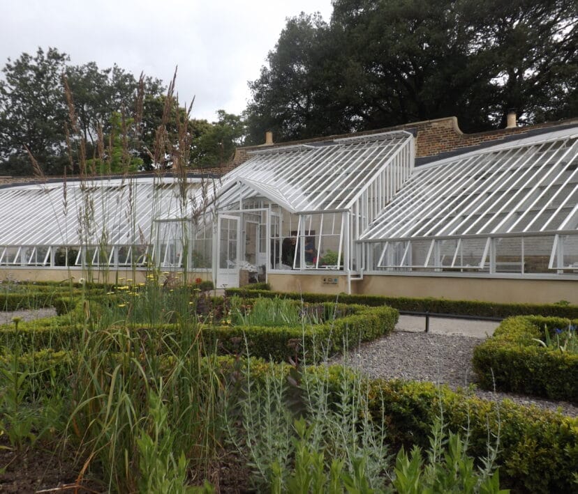 Greenhouse Inspiration