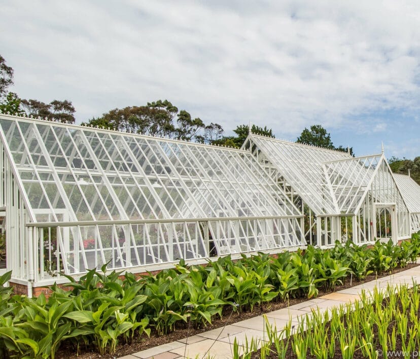 Logan Botanic Greenhouse - Scotland