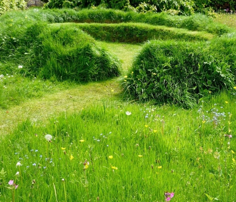 Matthew Haddon, Garden designer, grass image