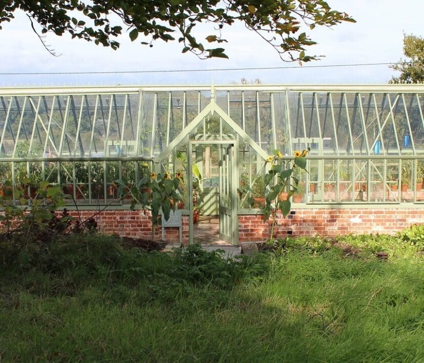 The Pig Hotel in the Forest, greenhouse