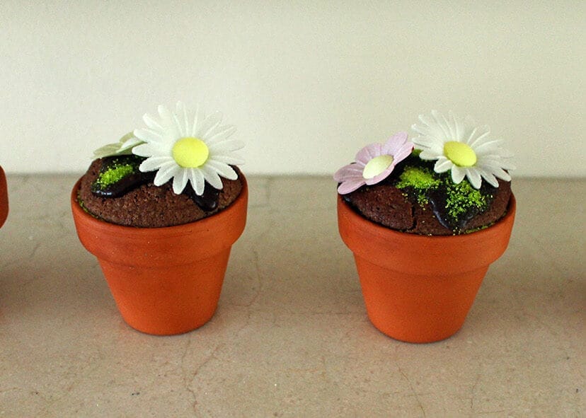 Flowerpot Muffins