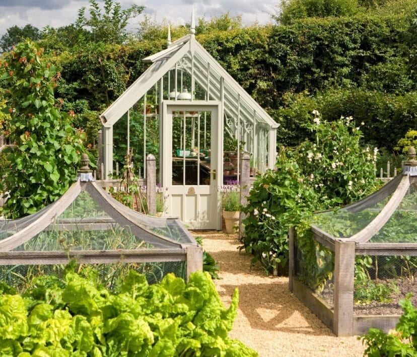The Aiton Botanical Kew Collection