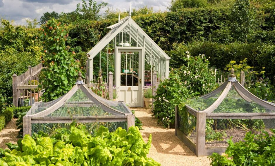 A Victorian-style Hidcote greenhouse made from aluminium frames with multiple windows and a peaked roof. The greenhouse is surrounded by green flower beds and trees.