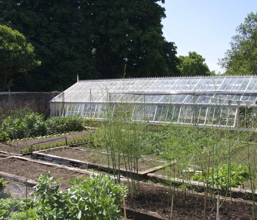 Director of Kew's walled garden with bespoke, 3/4 span, lean-to greenhouse