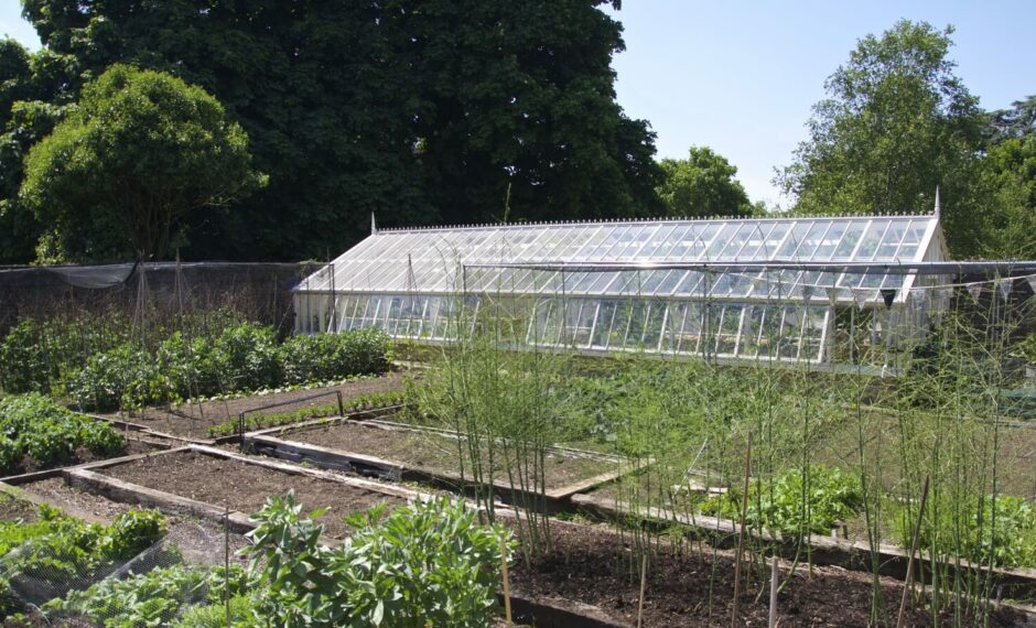 Director of Kew's walled garden with bespoke, 3/4 span, lean-to greenhouse