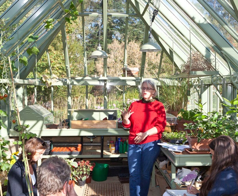 Sowing and Growing Under Glass with Sarah Wain