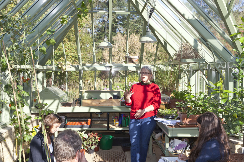 Sowing and Growing Under Glass with Sarah Wain