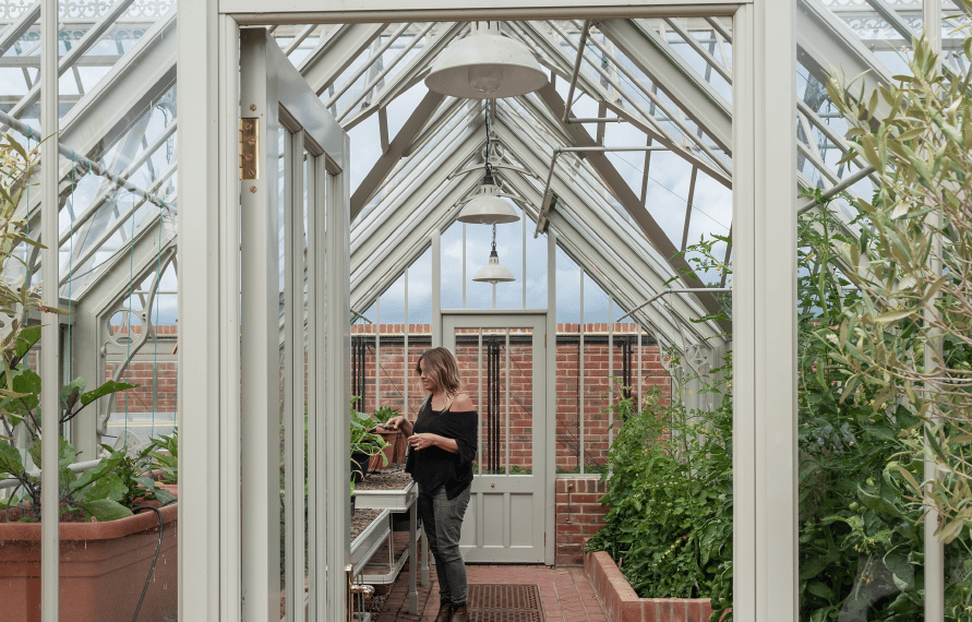 National Trust Ickworth greenhouse