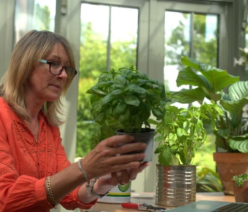 How to Grow Cress BBC Gardeners World Magazine
