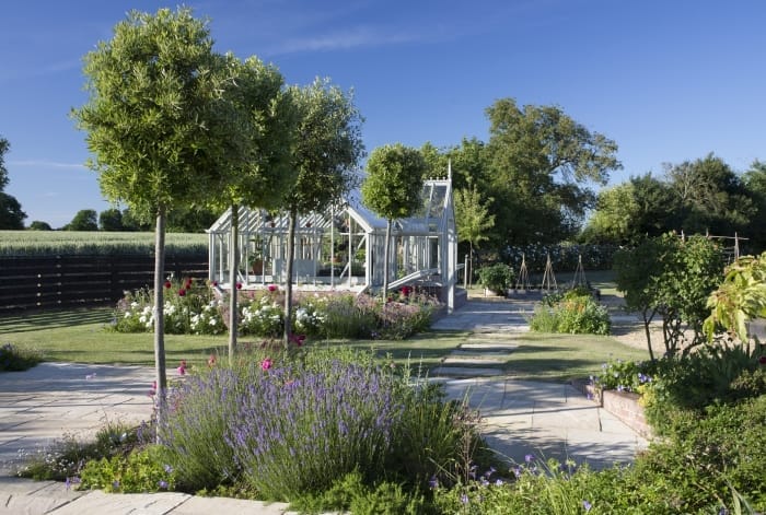 Lavender outside Alitex greenhouse