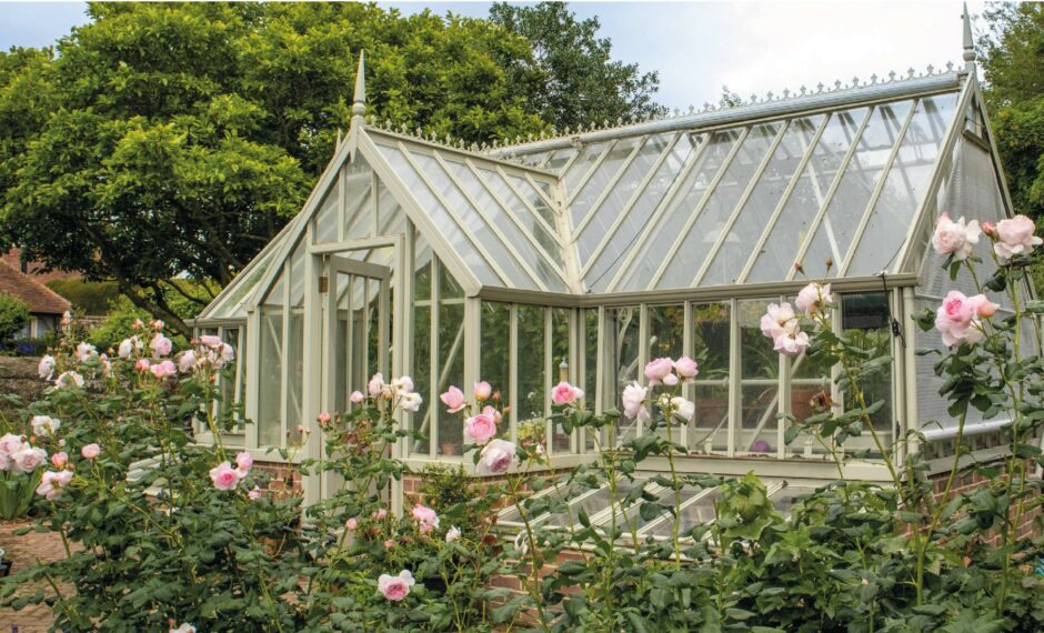Alitex Wimpole Victorian aluminium greenhouse with a front lobby. It is behind a row of colourful flowers.