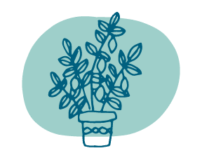 Plant Pot Illustration