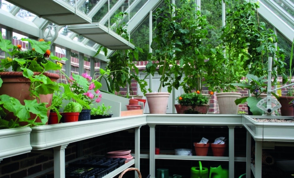 U-shaped Greenhouse Benching inside an Alitex greenhouse