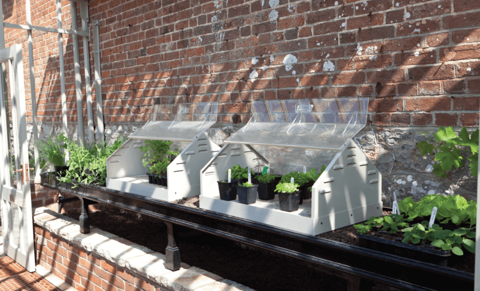 two aluminium propagators on top of black benching inside a large lean-to greenhouse