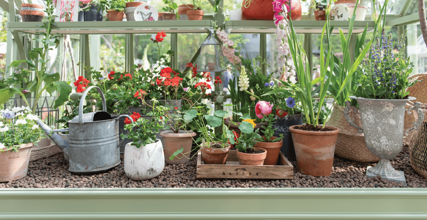 Close up of Greenhouse Benching with hydroleca and potted plants on top