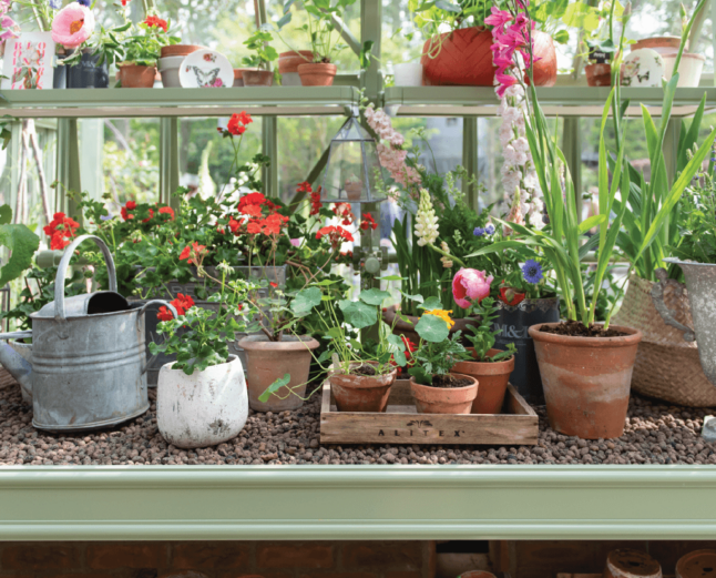 Close up of Greenhouse Benching with hydroleca and potted plants on top