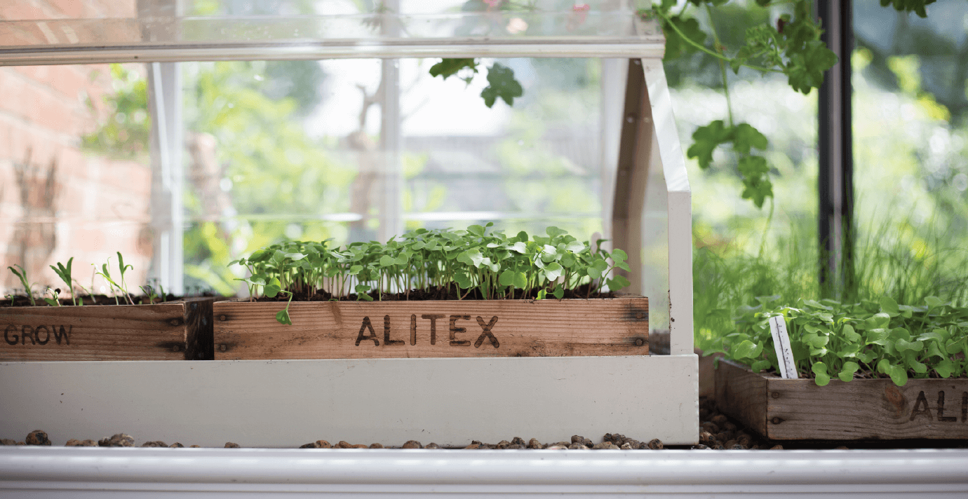 Aluminium propagator on top of traditional benching with Alitex branded seed tray inside