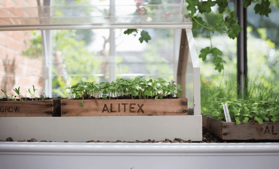 Aluminium propagator on top of traditional benching with Alitex branded seed tray inside
