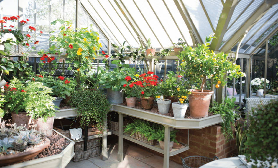 Greenhouse Benching filled with potted plants and greenery