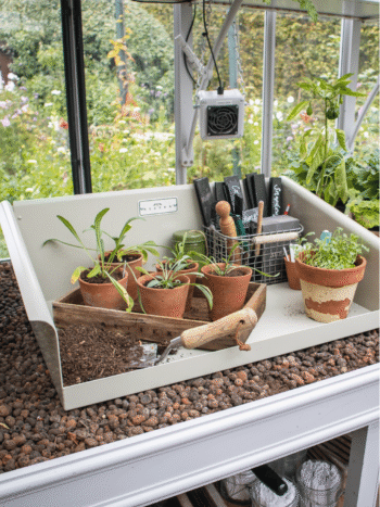 Alitex Potting shoe