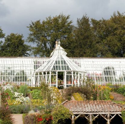 Large Traditional Victorian greenhouse with three lobbies surrounded by greenery.