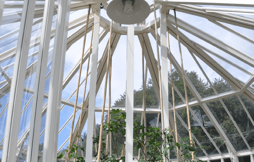 Alitex aluminium octagonal glasshouse in a walled kitchen garden