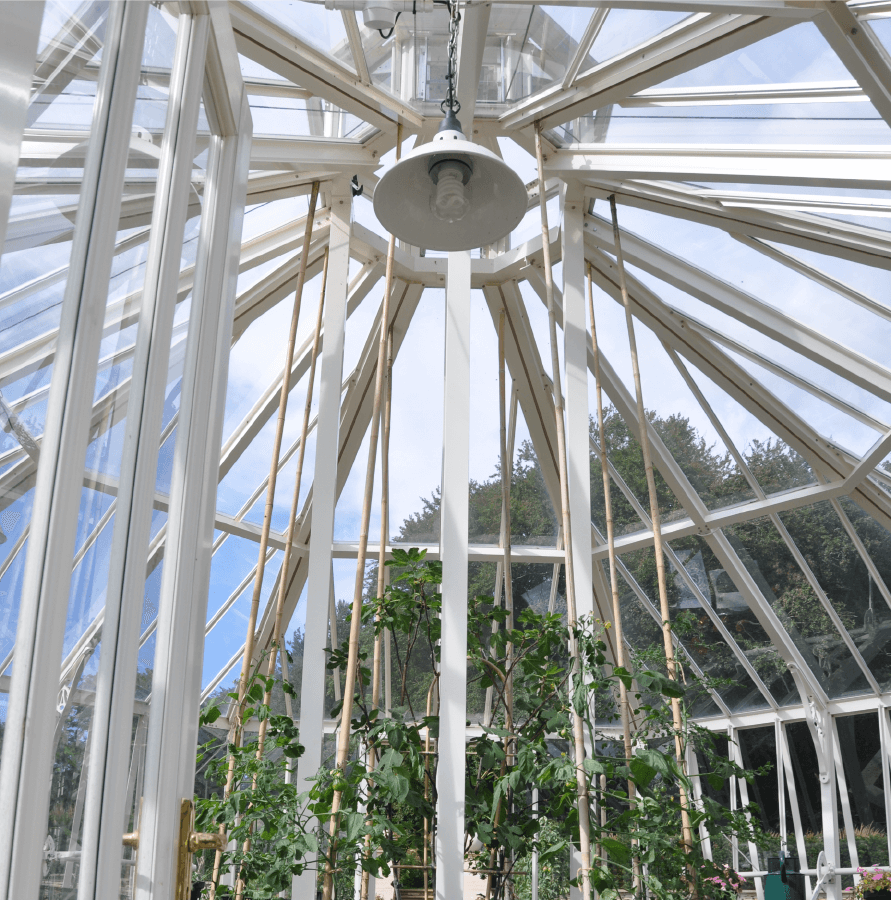 Alitex aluminium octagonal glasshouse in a walled kitchen garden