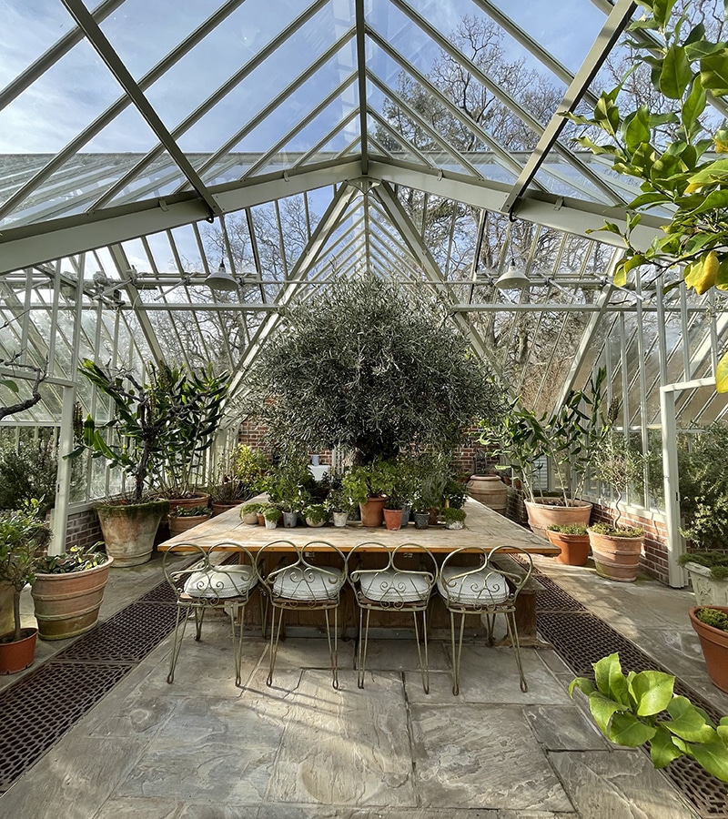 Lime Wood Greenhouse Dining Table set up