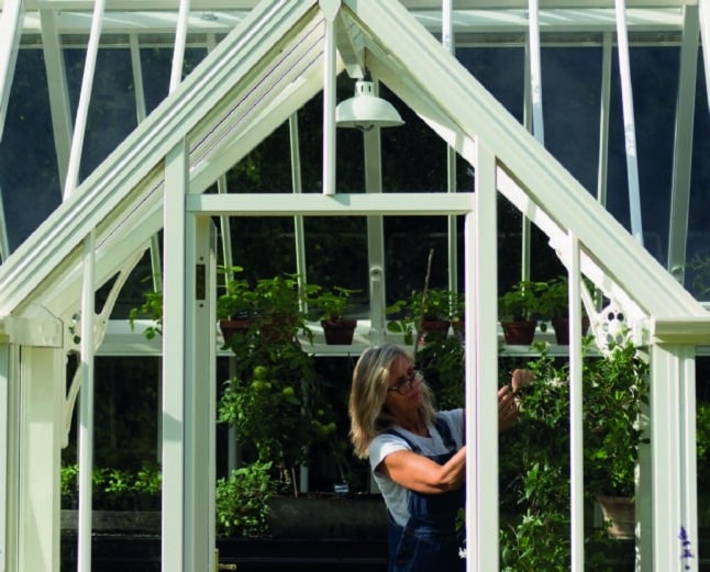 Lady in Alitex Greenhouse