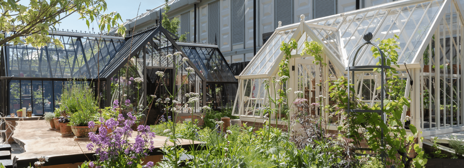 Two National Trust Alitex Greenhouses at Chelsea Flower Show 2022