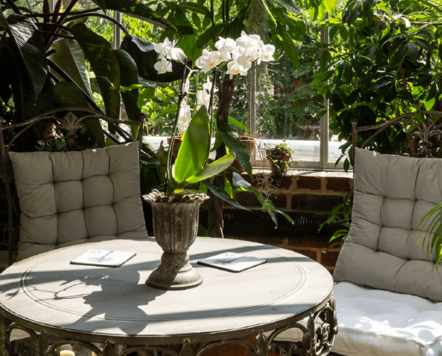 Chairs and table in greenhouse
