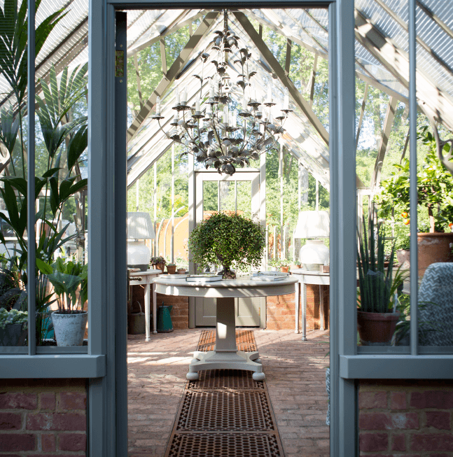 Greenhouse decorated with tree in large greenhouse