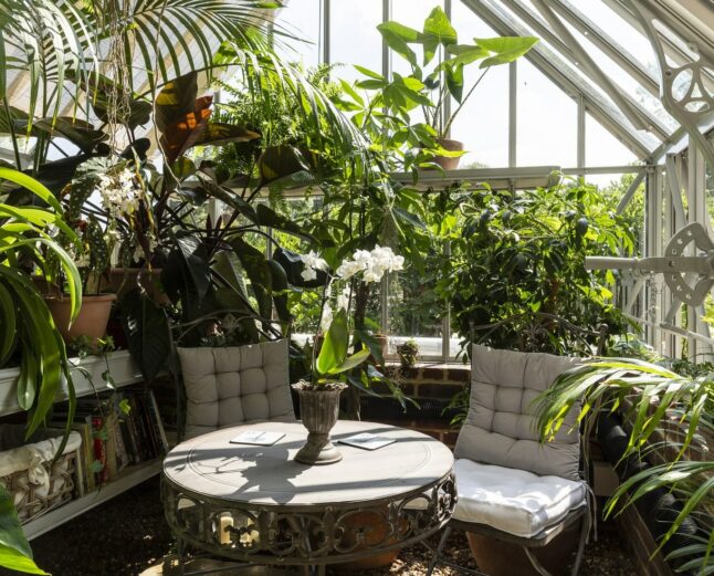 Inside of a greenhouse, garden table and cushioned chairs