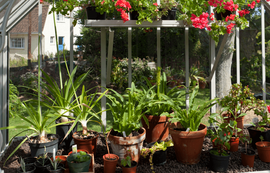 National Trust Mottisfont Greenhouse