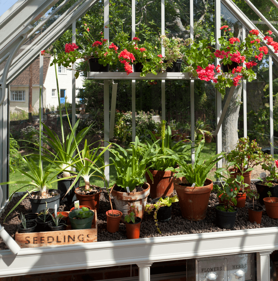 National Trust Mottisfont Greenhouse