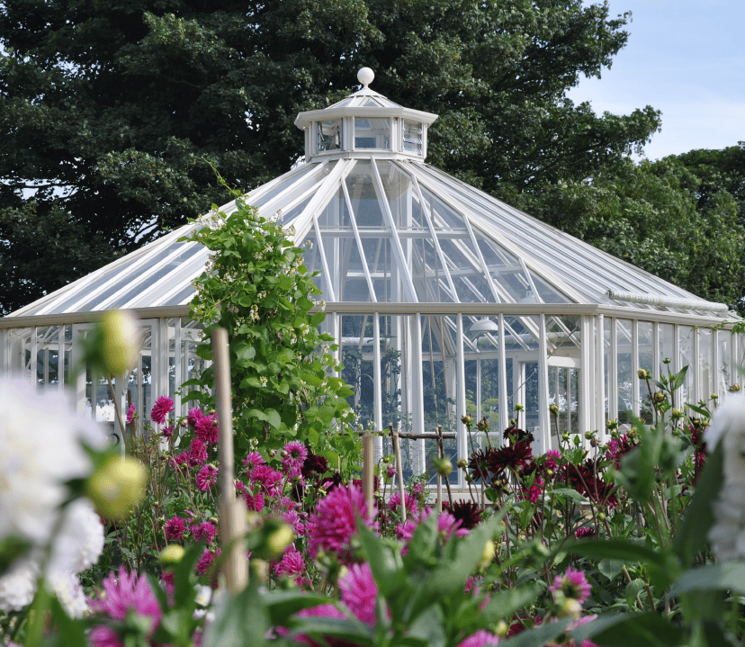 Alitex Octagonal Greenhouse