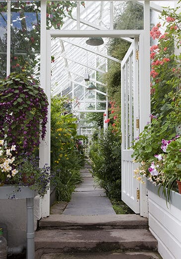 Inside Glasshouse with partitions and plants arching the doorways