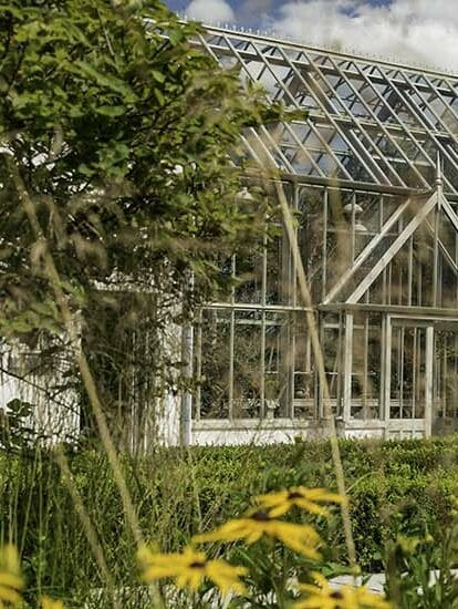 Irish greenhouse